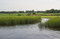 Wetlands of National Park De Wieden