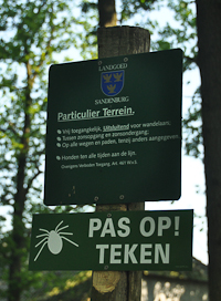 Beware of ticks![br]Photo © Holland-Cycling.com