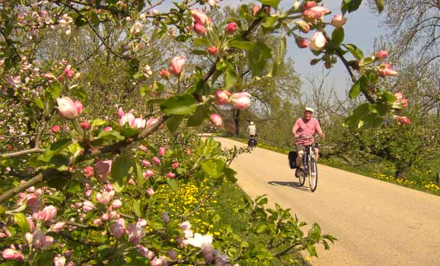 Holland - a paradise for cyclists. Photo © Holland-Cycling.com