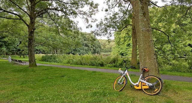 Share bikes are being left in parks. Photo © Holland-Cycling.com