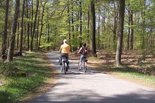 Cycling over the Veluwe - 4 days photo nr. 1
